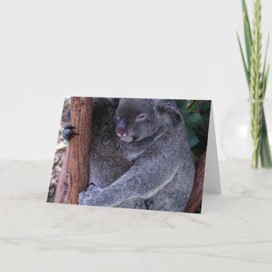 Koala Family Grußkarte Karte (Vorderseite)