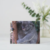 Koala Family Postcard Postkarte (Stehend Vorderseite)