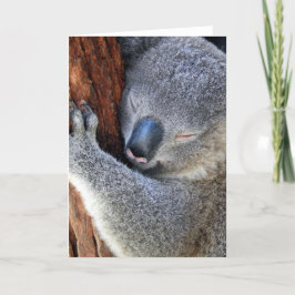 Koala Feiertagskarte