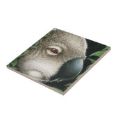 Koala-Fliese Fliese (Seite)