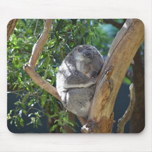 Koala-Foto Mousepad (Vorne)