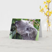 Koala frisst karte (Gelbe Blume)