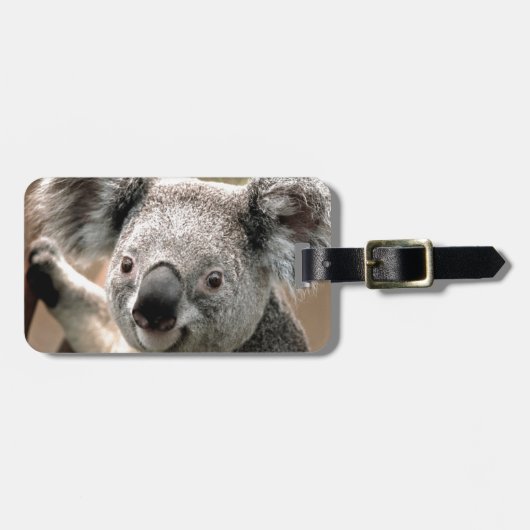 Koala Gepäckanhänger (Vorderseite horizontal)