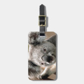 Koala Gepäckanhänger (Vorderseite vertikal)