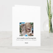 Koala Greeting Card Karte (Rückseite)