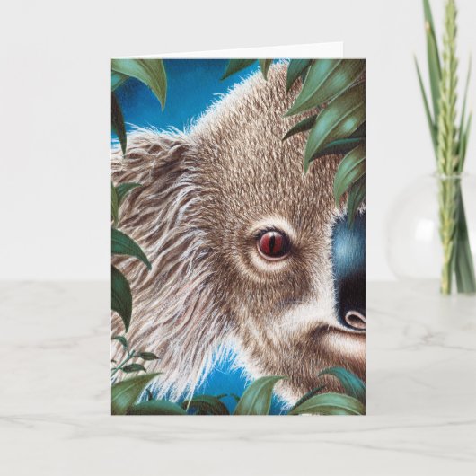 Koala Greeting Card Karte (Vorderseite)