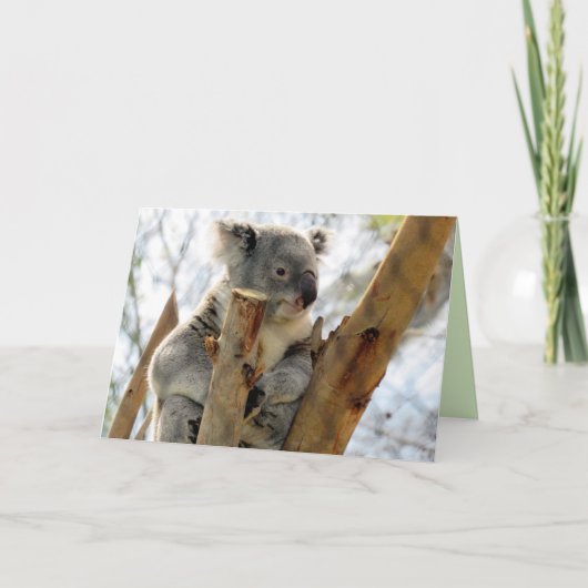 Koala Greeting Card Karte (Vorderseite)