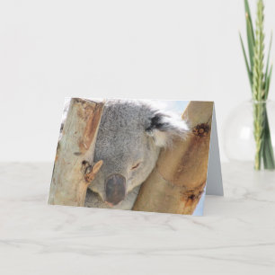 Koala Grußkarte schlafen Karte