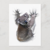 Koala Hang auf dem Niedlichen Bär Australien Tier Postkarte (Vorderseite)