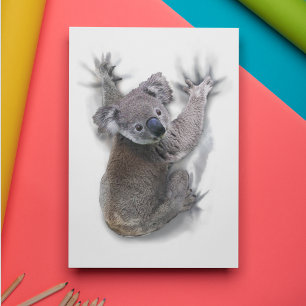 Koala Hang auf dem Niedlichen Bär Australien Tier Postkarte