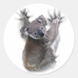 Koala Hang auf dem Niedlichen Bär Australien Tier Runder Aufkleber
