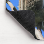 Koala Hangout in Australien Mousepad (Ecke)