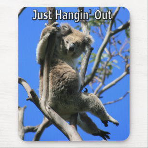 Koala Hangout in Australien Mousepad