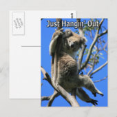 Koala Hangout in Australien Postkarte (Vorne/Hinten)