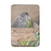 Koala Headshot Badematte (Vorderseite Vertikal)