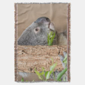 Koala-Headshot Decke (Vorderseite Vertikal)