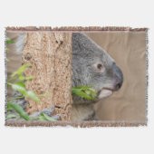 Koala-Headshot Decke (Vorderseite)