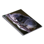 Koala im Baum-Notizbuch Notizblock (Rechte Seite)