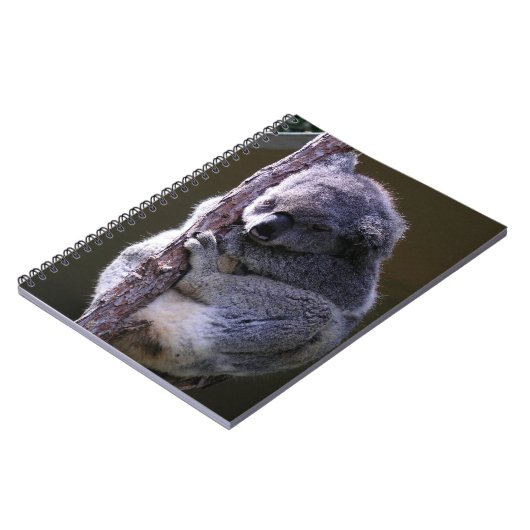 Koala im Baum-Notizbuch Notizblock (Linke Seite)