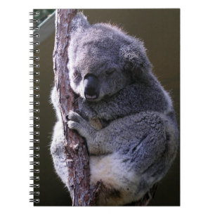 Koala im Baum-Notizbuch Notizblock