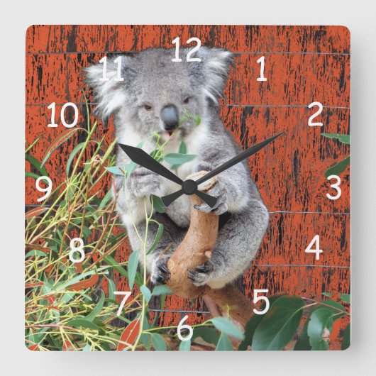 Koala-Imbiss-Zeit Quadratische Wanduhr (Vorderseite)