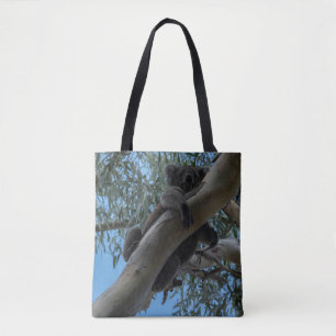 Koala in Australien, Foto Tasche