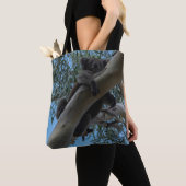 Koala in Australien, Foto Tasche (Von Nahem)