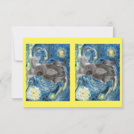 Koala in der Sternennacht, gefährdete Arten