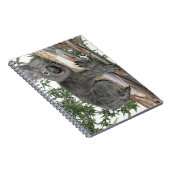 Koala in einem Baum Notizblock (Rechte Seite)