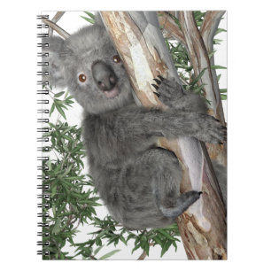 Koala in einem Baum Notizblock