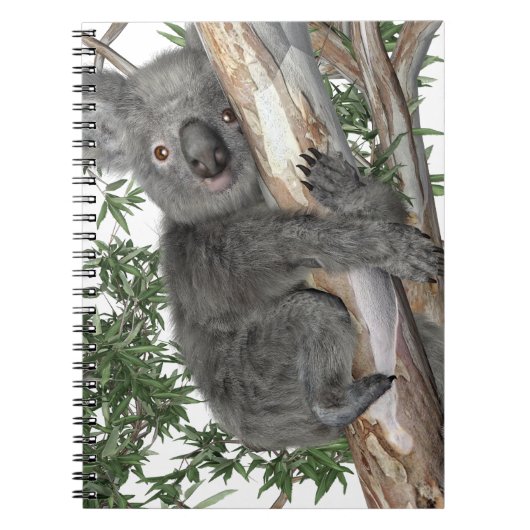 Koala in einem Baum Notizblock (Vorderseite)