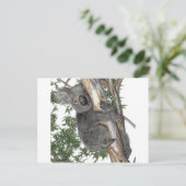 Koala in einem Baum Postkarte (Stehend Vorderseite)
