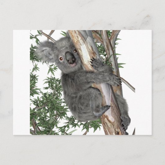 Koala in einem Baum Postkarte (Vorderseite)