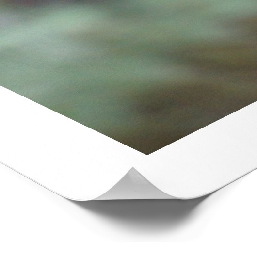 Koala in Tree Poster (Ecke)