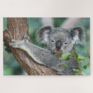 Koala in Tree Puzzle