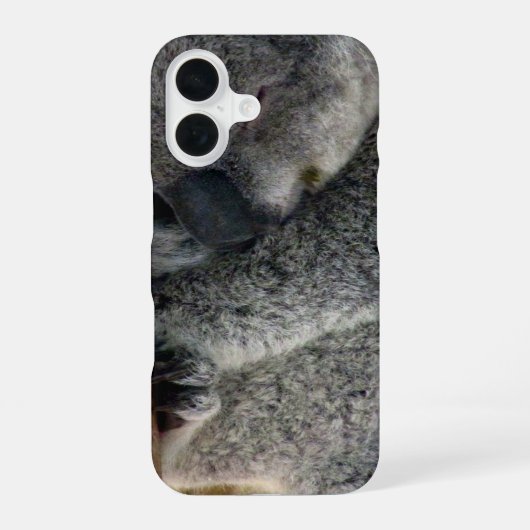 Koala iPhone 16 Hülle (Rückseite)