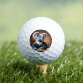 Koala Judge Golfball (Insitu T-Shirt)
