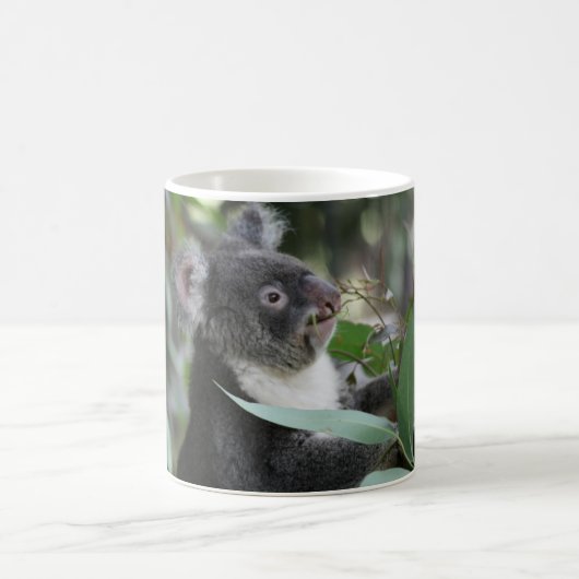 Koala Kaffeetasse (Mittel)