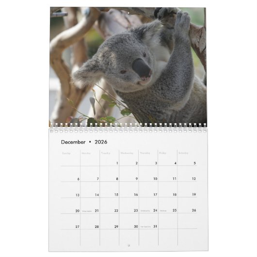 Koala Kalender (Dez 2026)