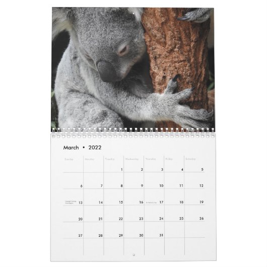 Koala Kalender (Mär 2022)