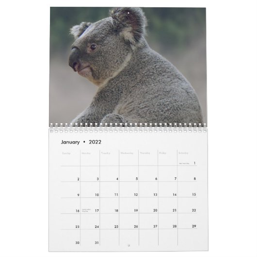 Koala Kalender (Jan 2022)