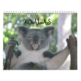 Koala Kalender