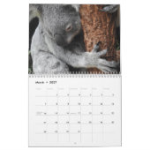 Koala Kalender (Mär 2027)