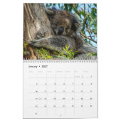 Koala Kalender (Jan 2027)