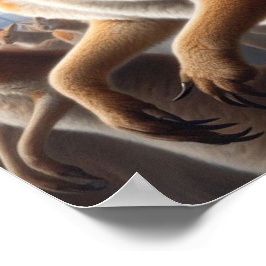 Koala Kangaroo Rider Poster (Ecke)