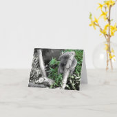 Koala Karte (Gelbe Blume)