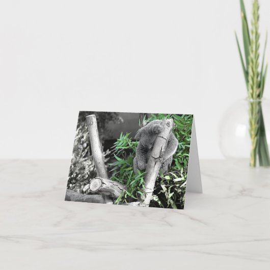 Koala Karte (Vorderseite)