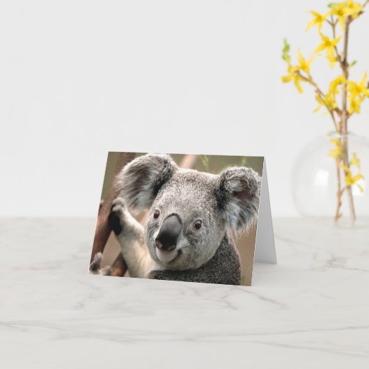 Koala Karte (Gelbe Blume)