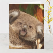 Koala Karte (Gelbe Blume)