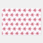 Koala Kids Wrapping Paper Flat Sheet Set 3 Geschenkpapier Set (Vorderseite 2)